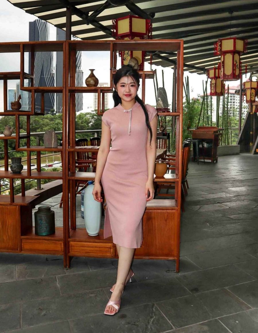 Knit Bodycon Cheongsam