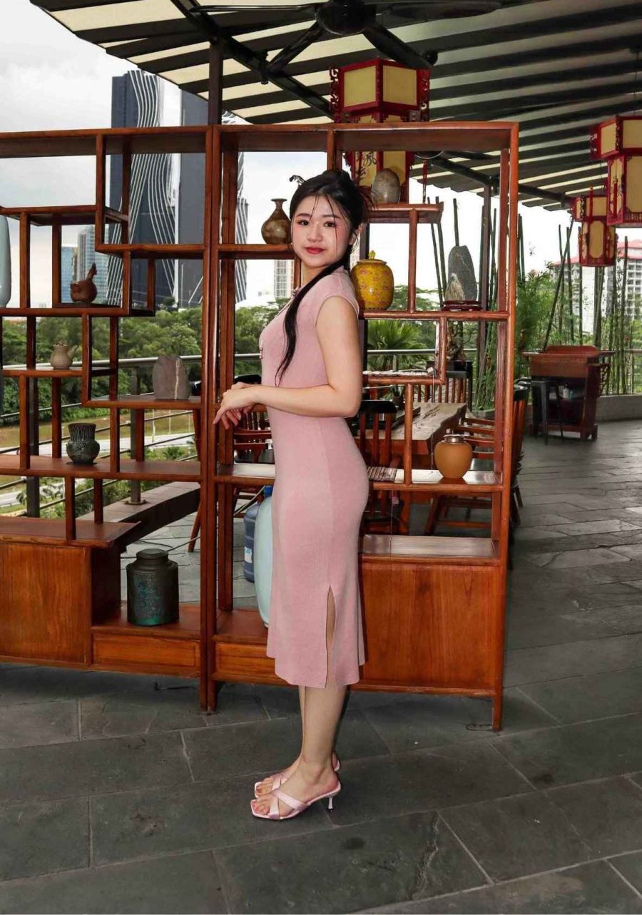 Knit Bodycon Cheongsam - Image 2