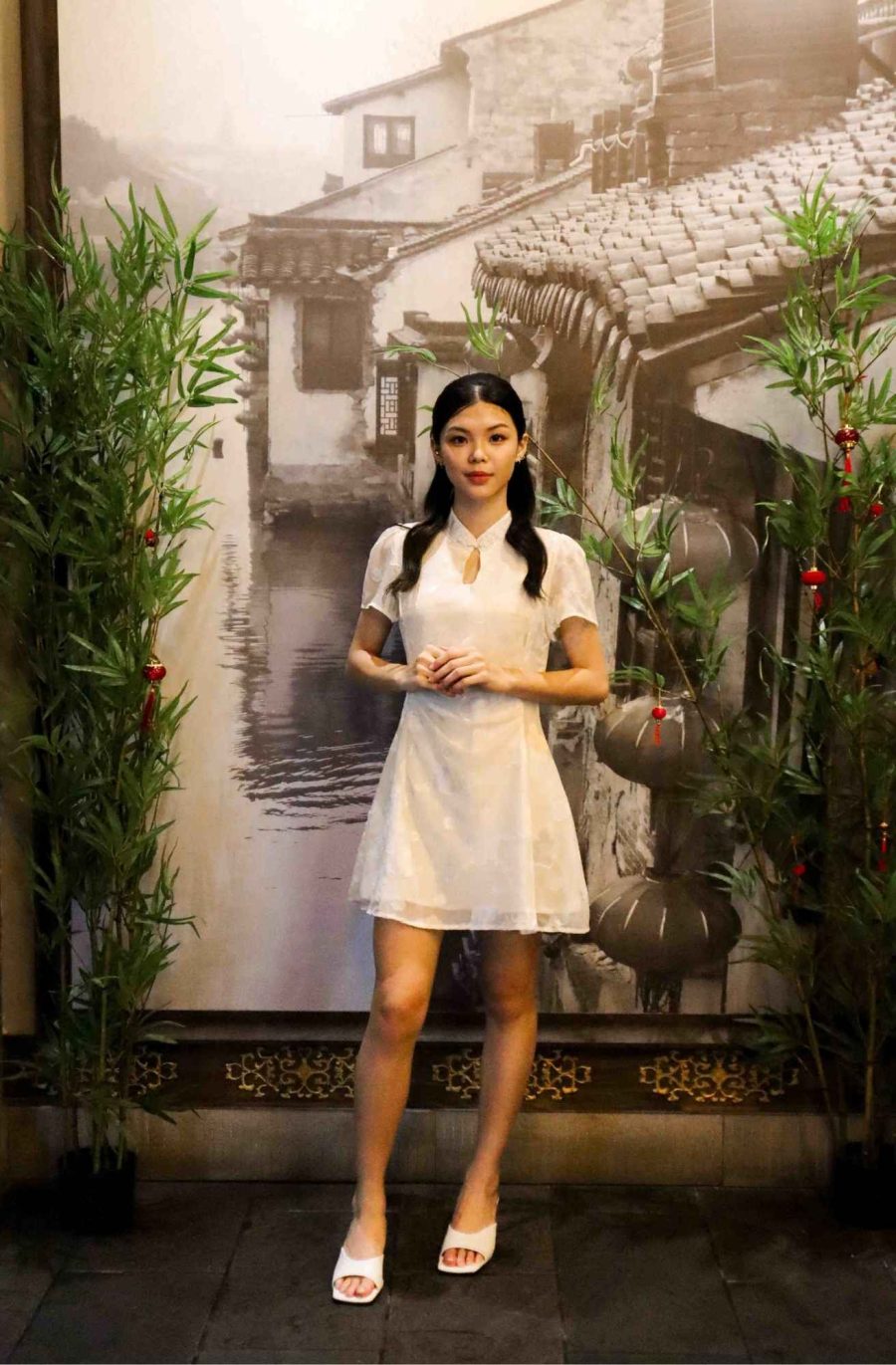 Floral Embroidered Mesh Cheongsam
