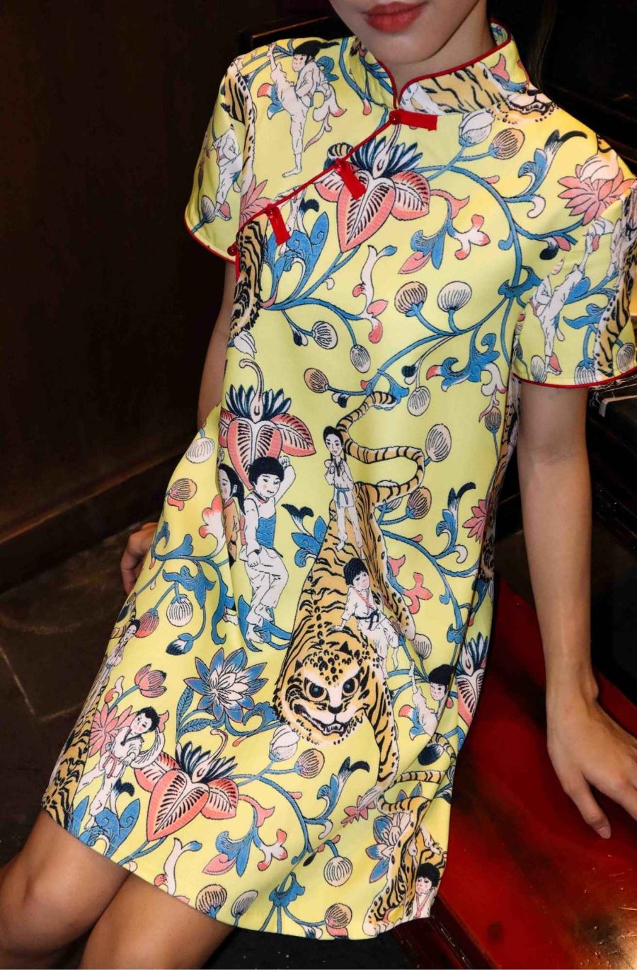 Oriental Print Oversize Cheongsam - Image 5